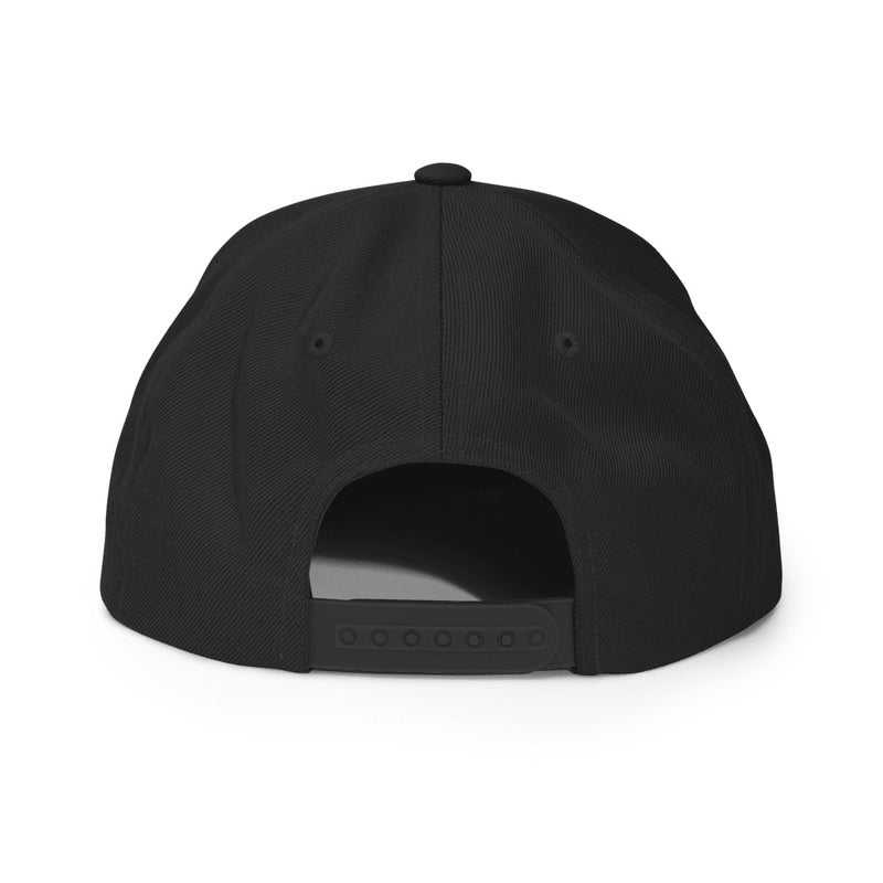 Got Chiropractic? Snapback Hat | Stylish & Adjustable