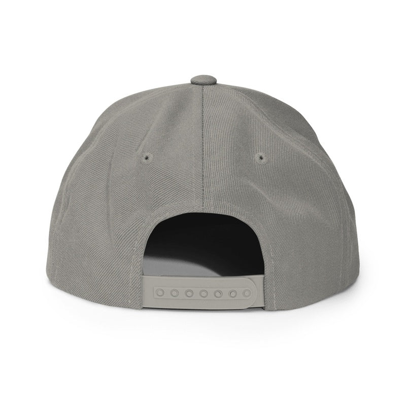 Got Chiropractic? Snapback Hat | Stylish & Adjustable
