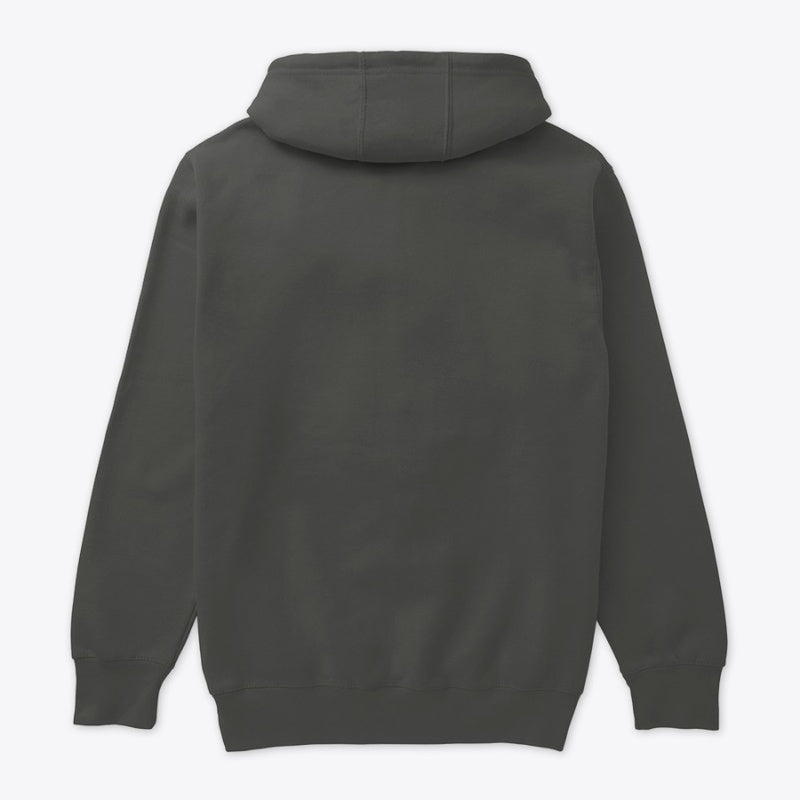 Just Adjust It – Chiropractic Hoodie | Spine Care Apparel
