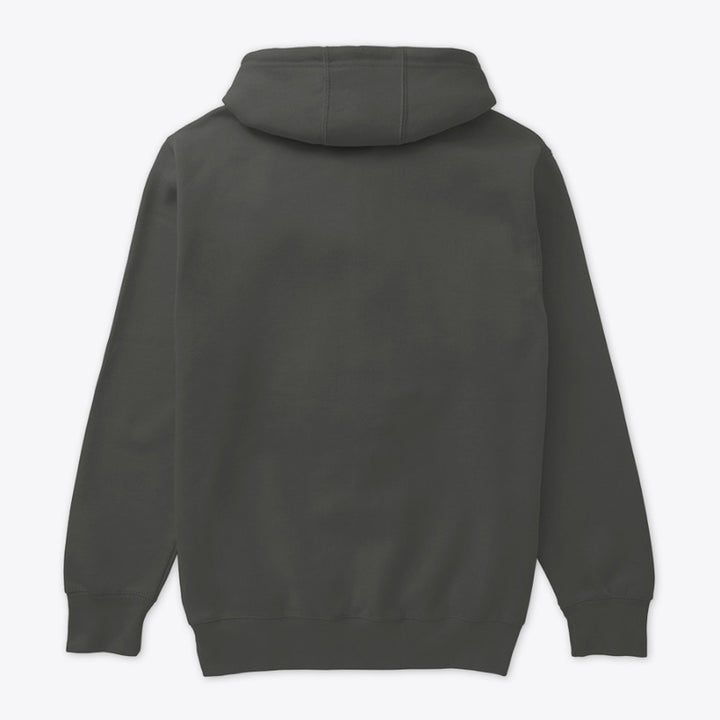 Just Adjust It – Chiropractic Hoodie | Spine Care Apparel